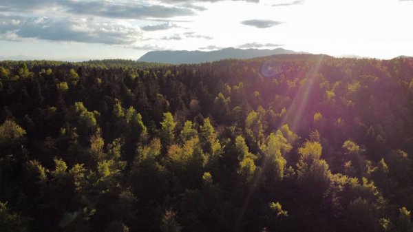 Kamp Pivka Jama *** — Fotografie 4