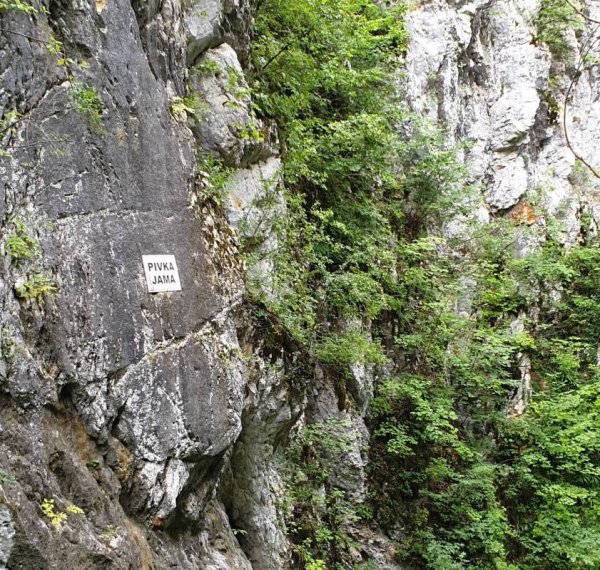 Kamp Pivka Jama *** — Photo 2