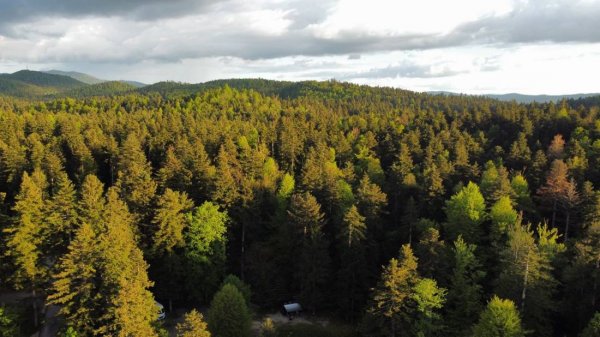 Kamp Pivka Jama *** — Photo 4