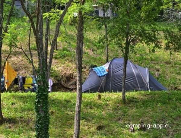 Camp Lucija — Photo 4