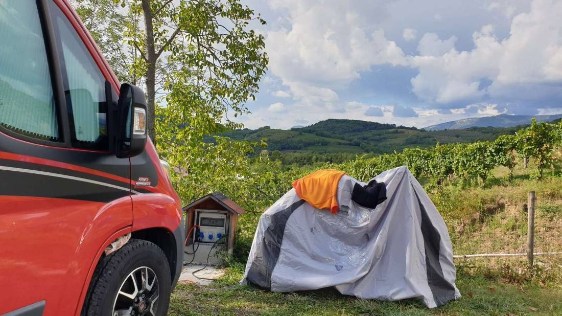 Camp Saksida Vineyard — Vineri in 5294