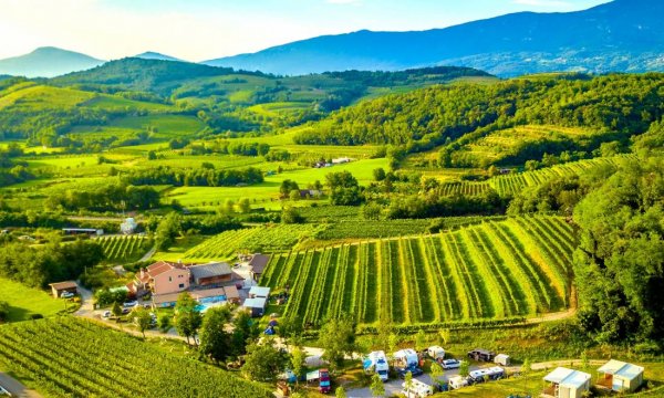 Camp Saksida Vineyard — Foto 3