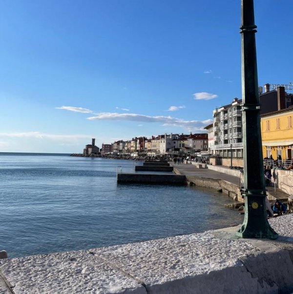 Camping Belvedere — Photo 3