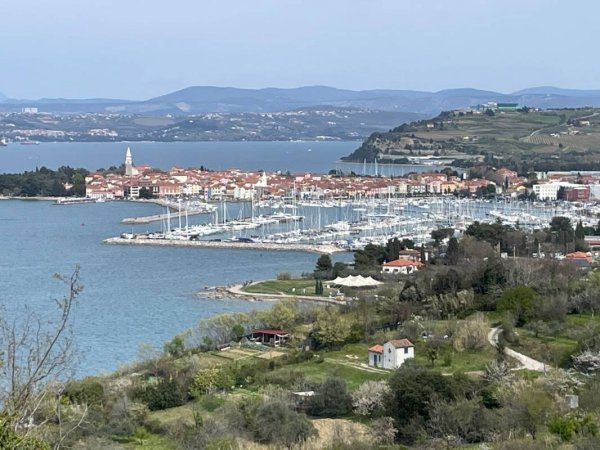 Camping Belvedere — Photo 4