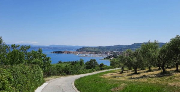 Camping Belvedere — Photo 5