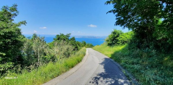 Camping Belvedere — Photo 6