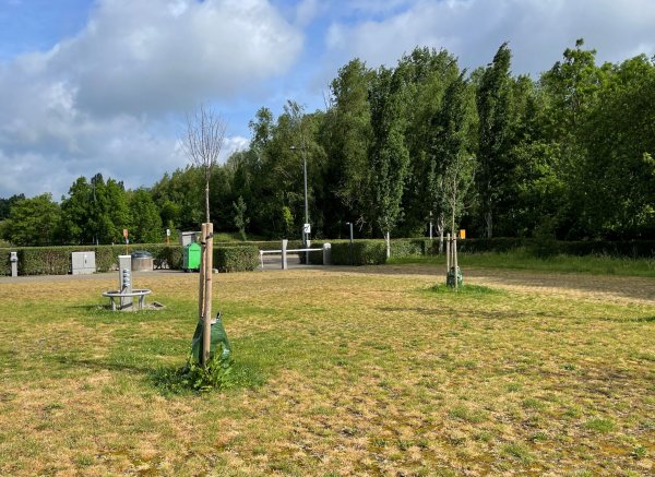 Stellplatz Pliniuspark — Photo 3