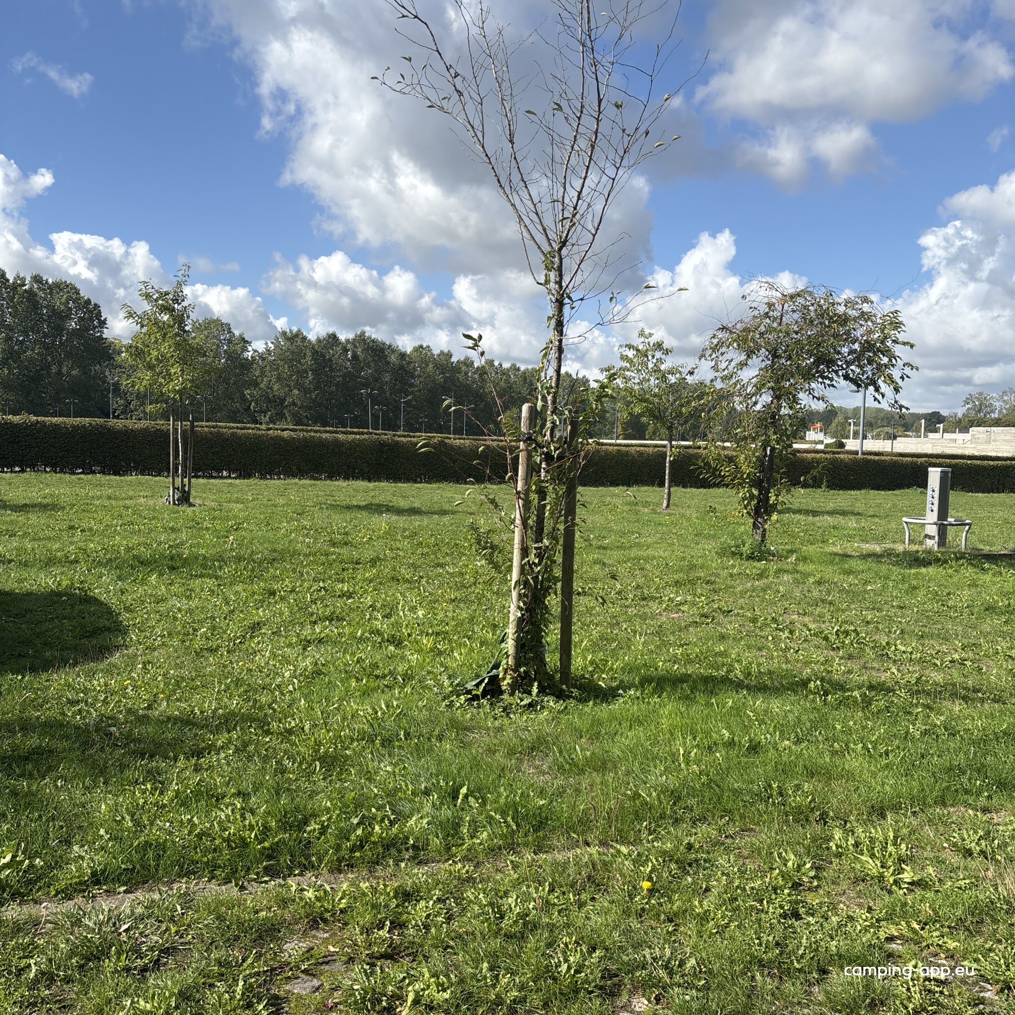 Stellplatz Pliniuspark — Foto 2