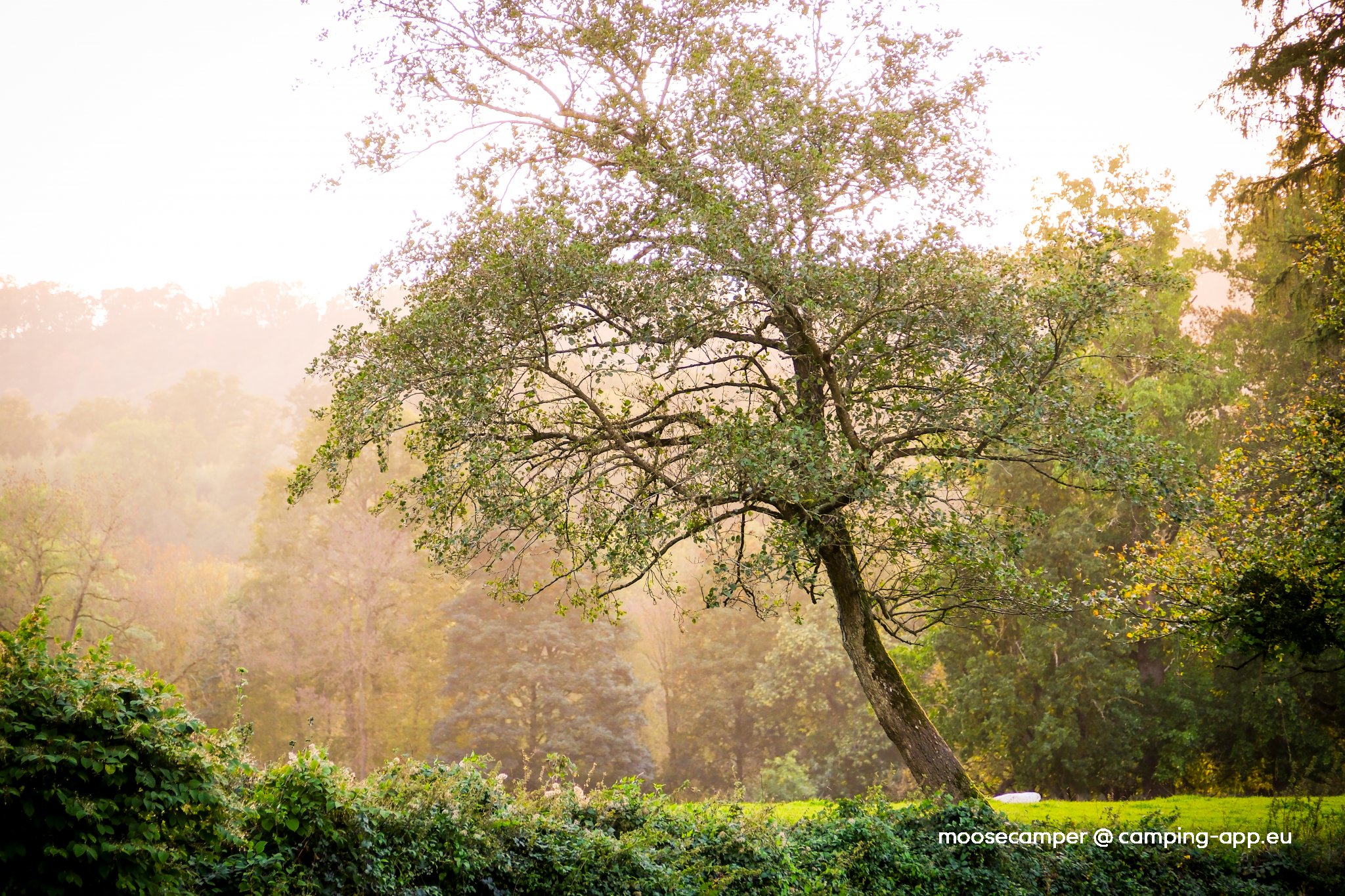 Stellplatz Hamoir — Photo 6