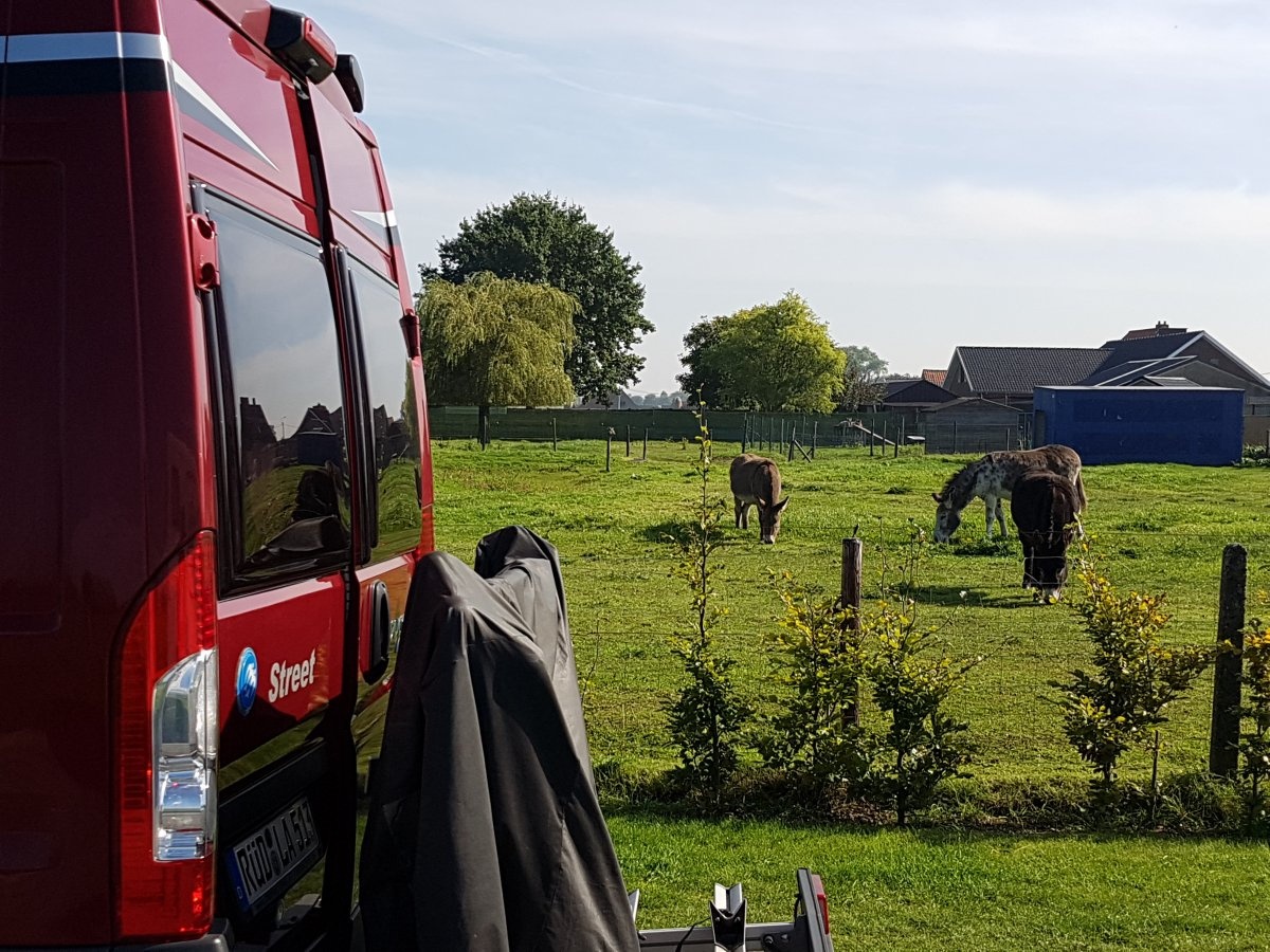 Smart-IJs — Campervan Site in Wingene