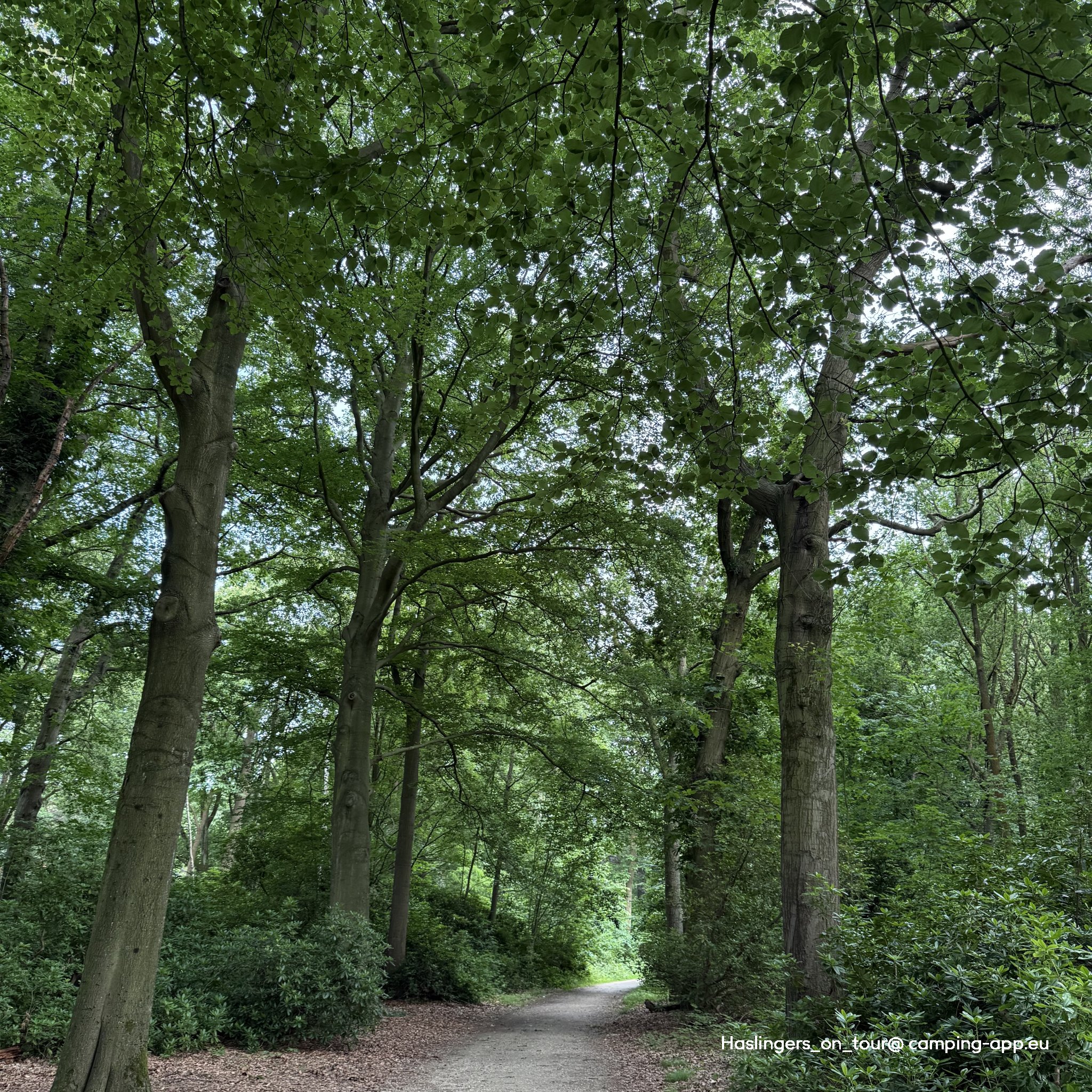 Stellplatz Brasschaat — Foto 6