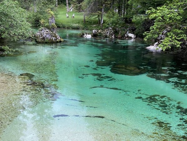 Camp Zlatorog Bohinj — Photo 3