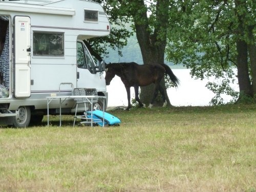 Agrobielik — Kemping in Olsztynek