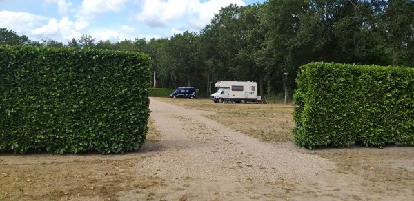 Camperplaats Bos & Heide — Stellplatz in Bergen