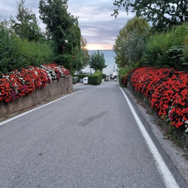 Camping Piantelle — Photo 4