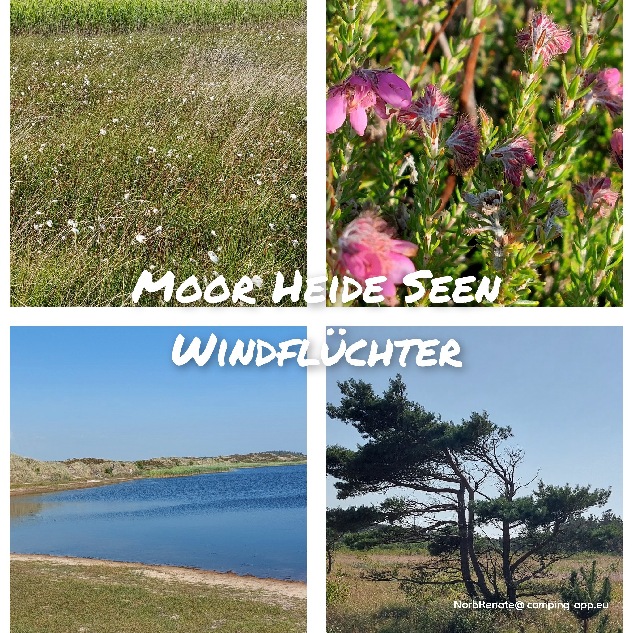 Stjerne Camping — Foto 6