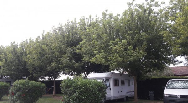 Al Batèo Agricampeggio — Photo 2