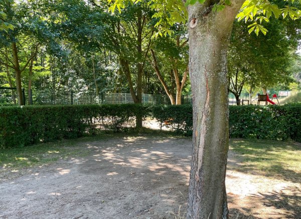 Campingplatz Am Badesee Coswig-Kötitz — Photo 2