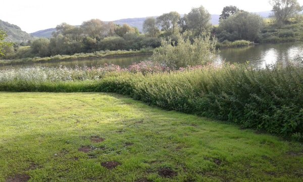 Stellplatz An den 2 Pappeln Ensch — Photo 2