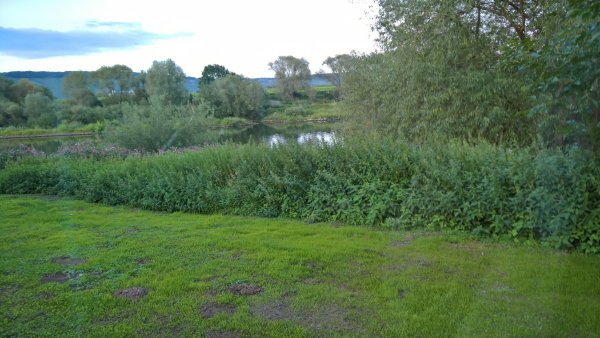 Stellplatz An den 2 Pappeln Ensch — Photo 3