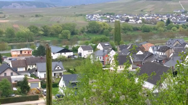 Stellplatz An den 2 Pappeln Ensch — Photo 4