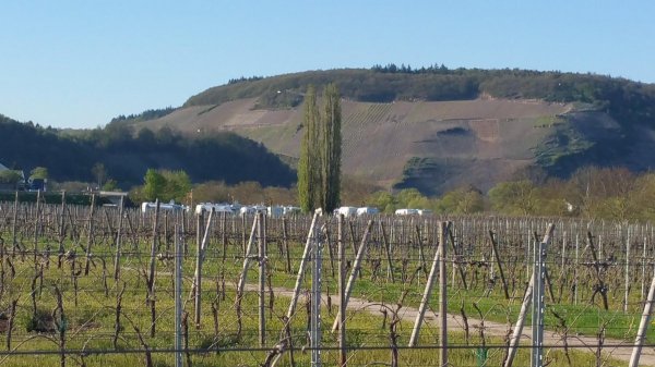 Stellplatz An den 2 Pappeln Ensch — Photo 4