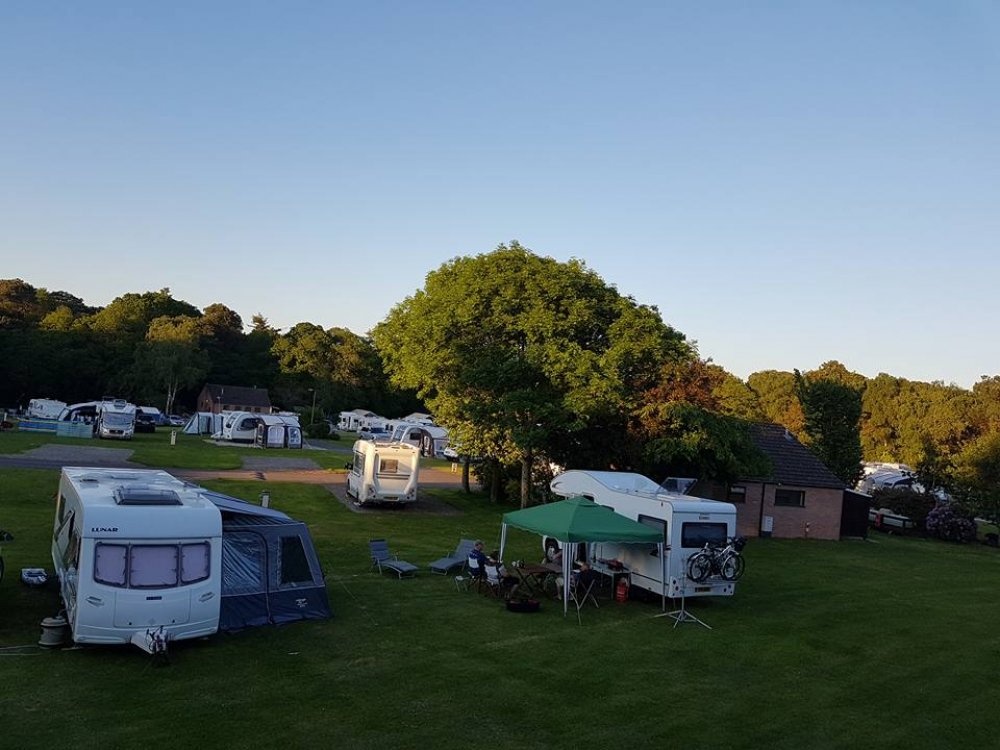 Moreton Camping and Caravanning Club Site — Camping in Moreton
