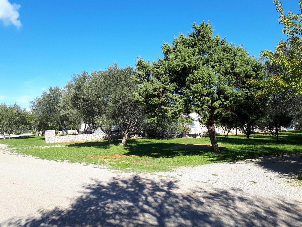 Camping Bor — Campingplass in Krk