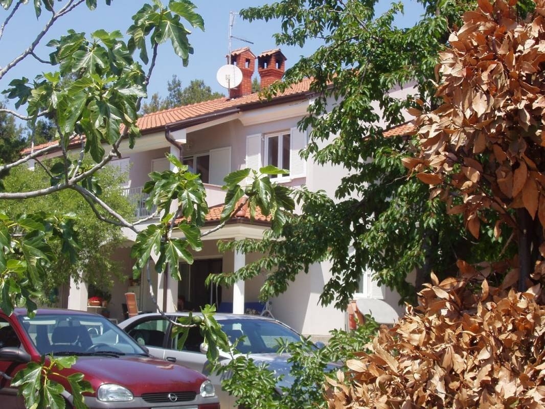 Camp Din — Campingplads in Novigrad