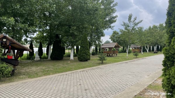 Camp Family — Photo 5