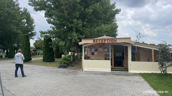 Camp Family — Photo 4