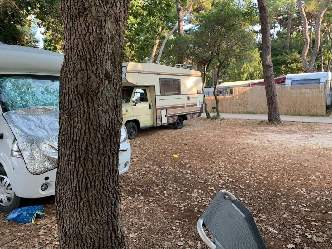 Camp Kastanija — Campingplass in Novigrad