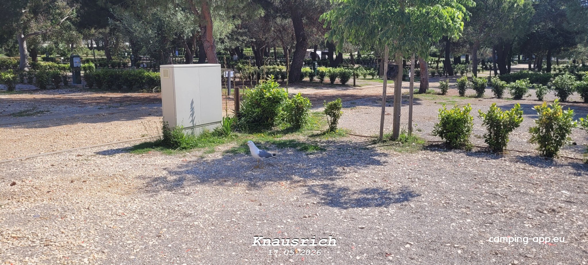 Koversada Campsite — Campingplass in Vrsar