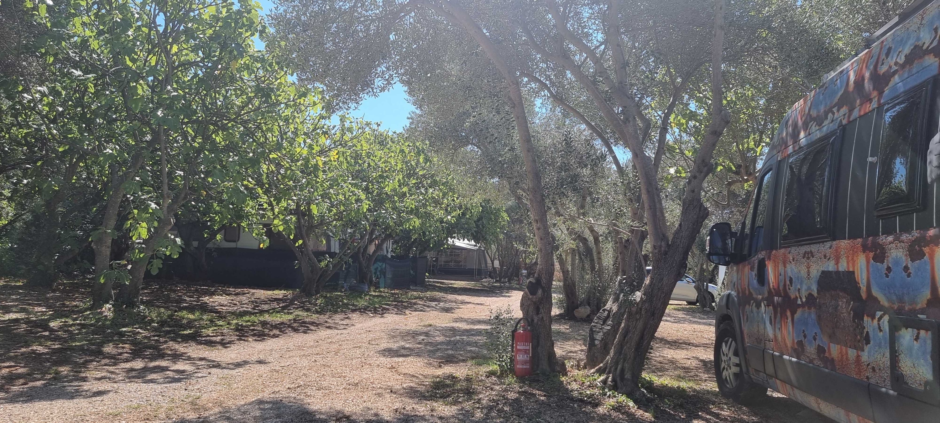 Mini-camping Maslinik — Kemp in Punat