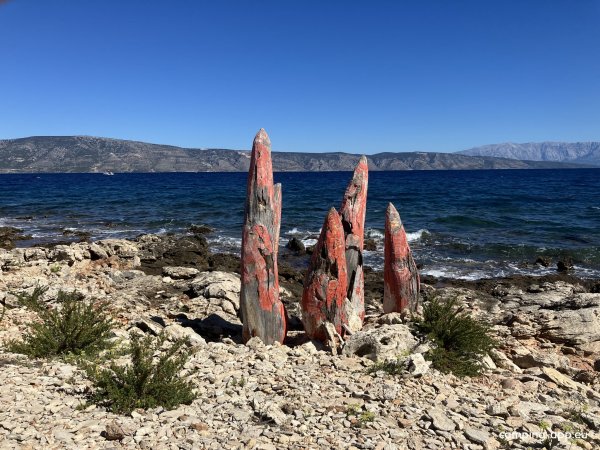 Camp Nudist (FKK) — Photo 3