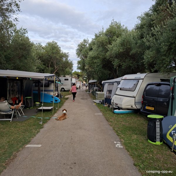 Autocamp Oliva — Photo 3