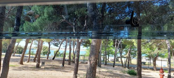 Camp Porat — Photo 4