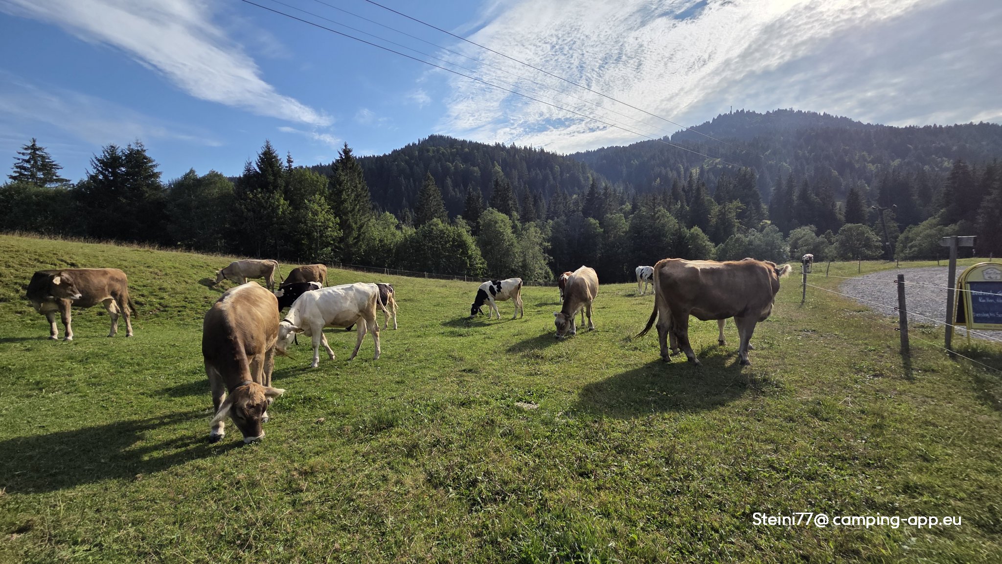 Stellplatz am Schwabenhof Balderschwang — Foto 2