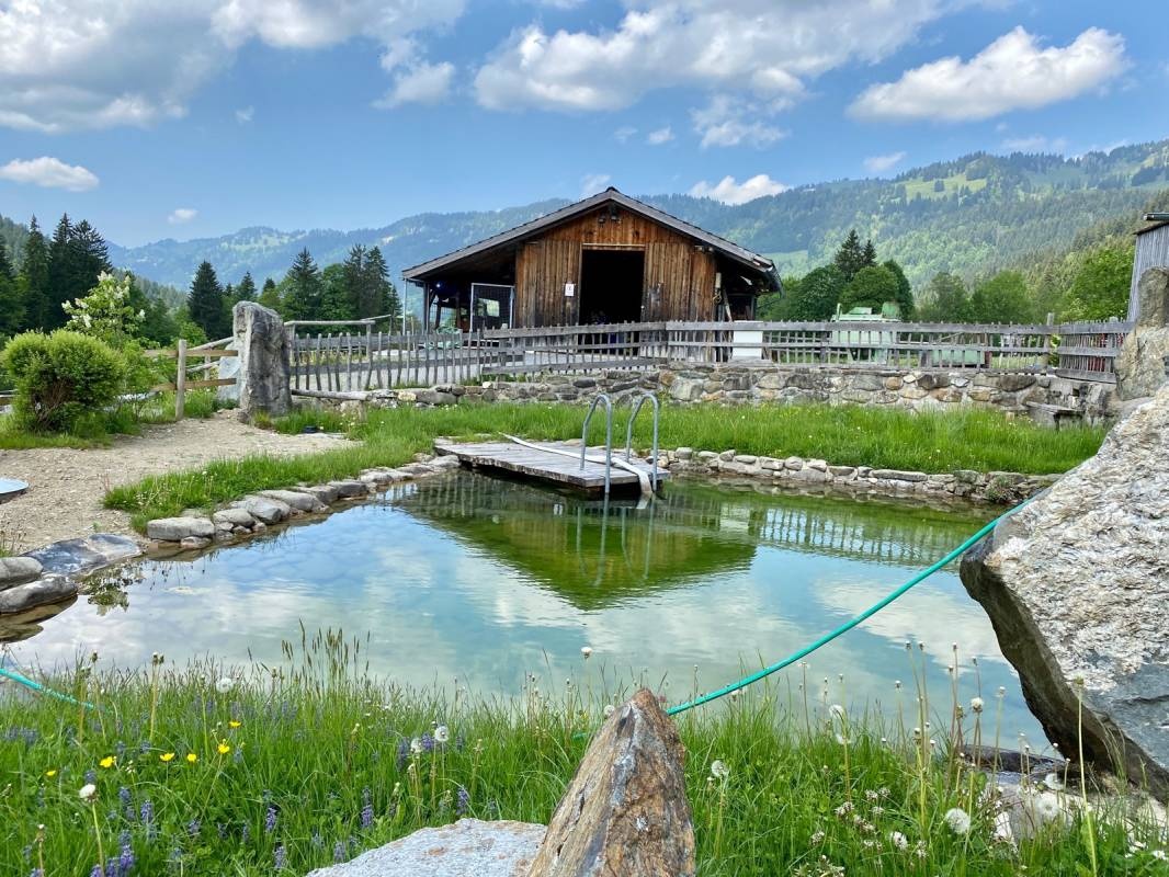 Stellplatz am Schwabenhof Balderschwang — Bobilplass in Balderschwang
