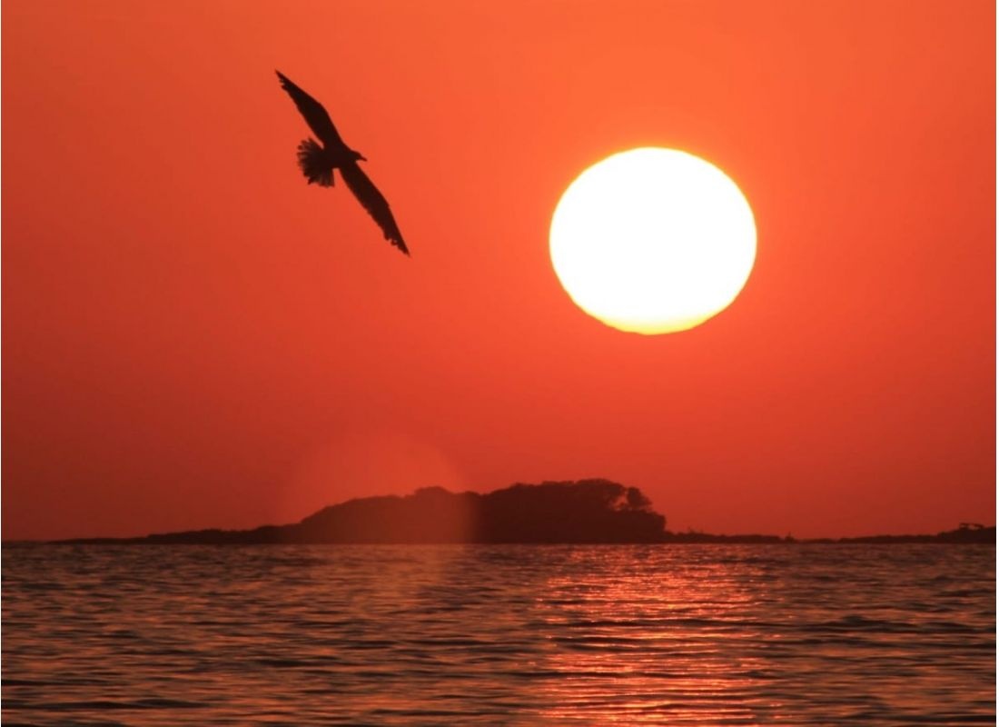 Camping Puntica — Campingplatz in Funtana