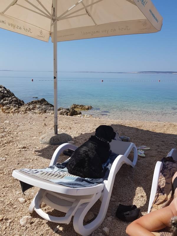 Camping Village Šimuni — Camping in Kolan