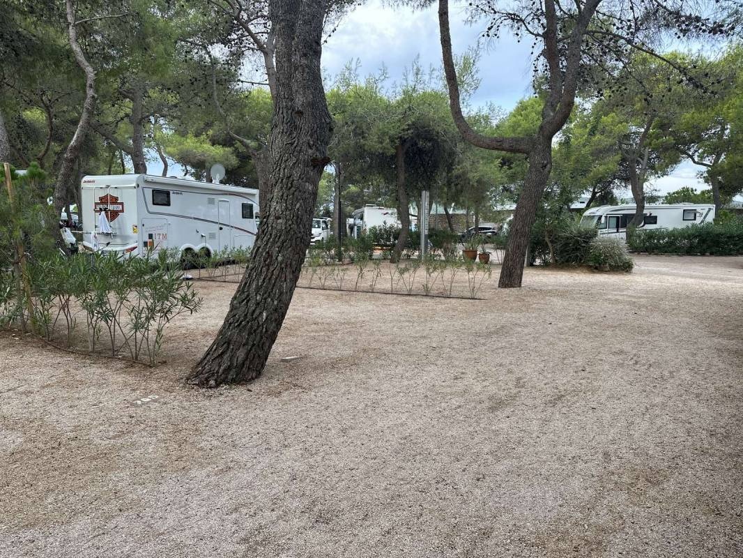 Amadria Park Camping Sibenik — Campingplass in Šibenik