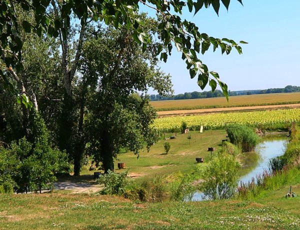 Suza Baranje Camping — Photo 4