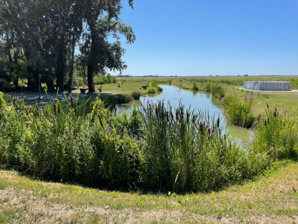 Suza Baranje Camping