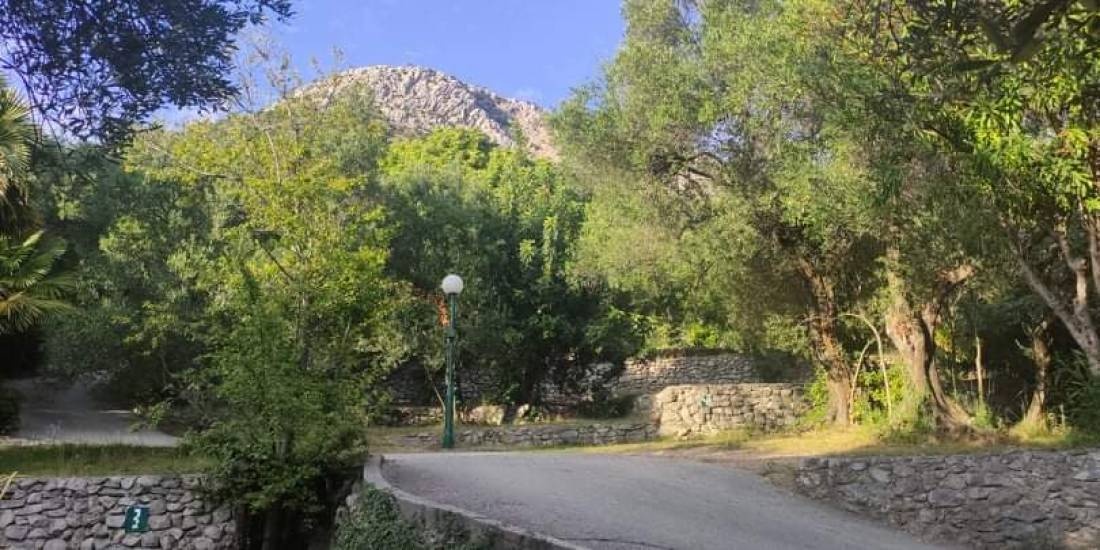 Camping Trsteno — Campingplass in Trsteno