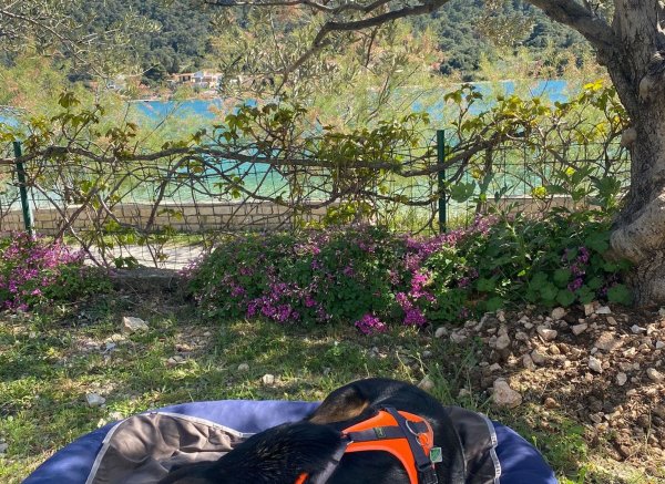 Apartments Camp Vala