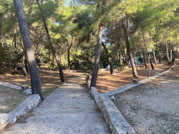 Camp Vira — Foto 3