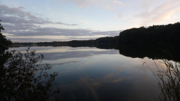 Theobalds Park — Photo 2