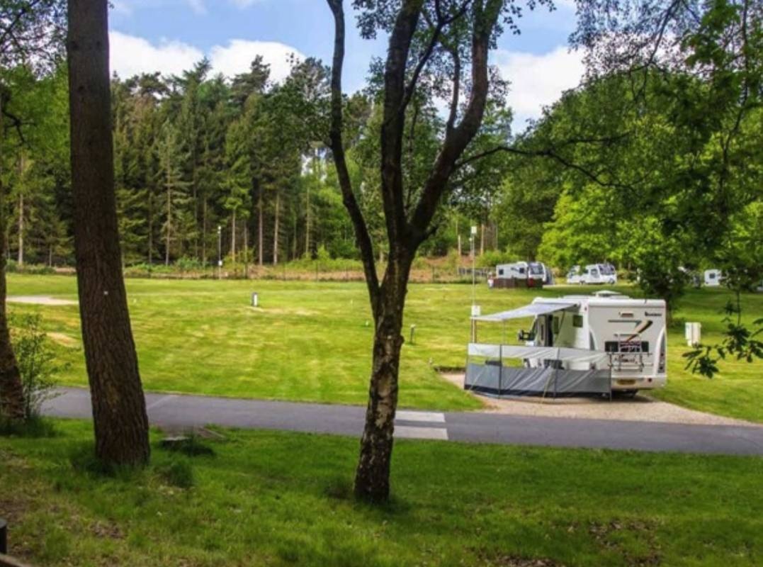 Cannock Chase Camping & Caravanning Club Site — Campingplass in Rugeley