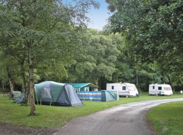 Haltwhistle Club SiteHaltwhistle Camping and Caravanning Club Site — Photo 3